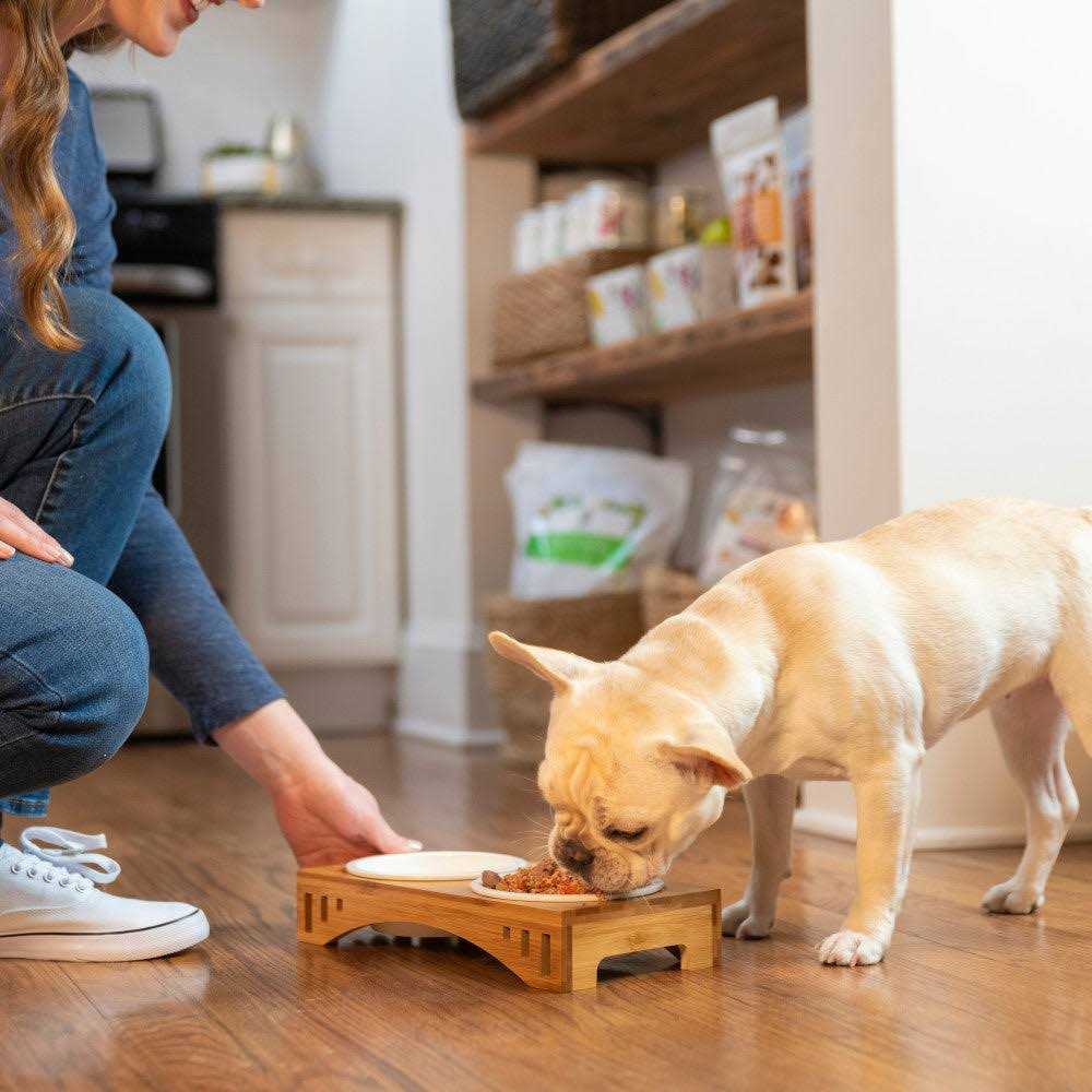 Grain-Free Dog Food Pre-Mix X93840
