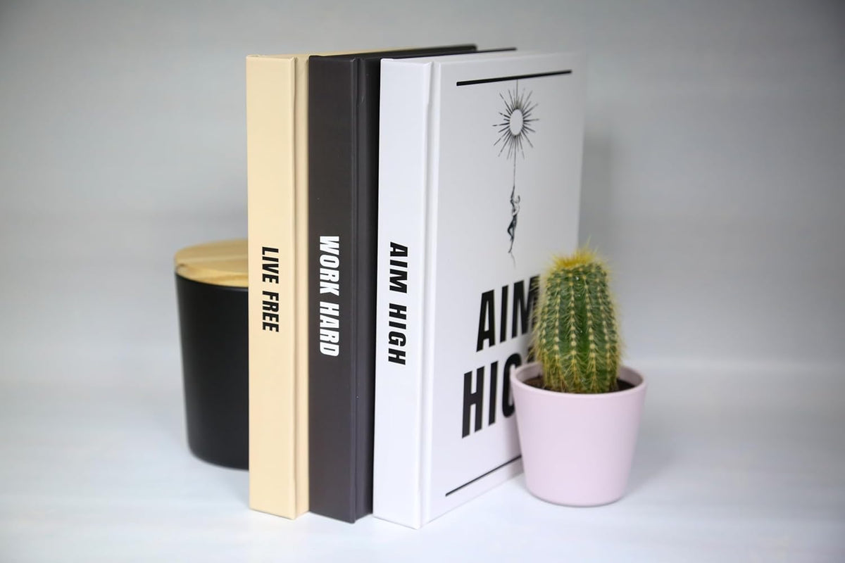 3 Pcs Matte Decorative Books I9824