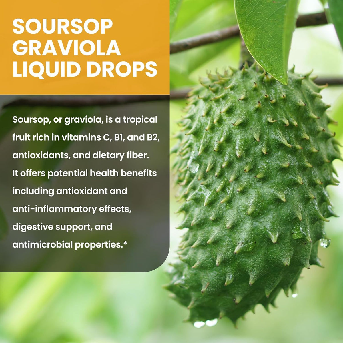 Soursop Graviola Liquid Drops 1500mg with Green Tea, Black Seed Oil, Turmeric 2 Fl Oz O201