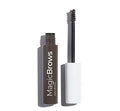 Medium Brows G8913